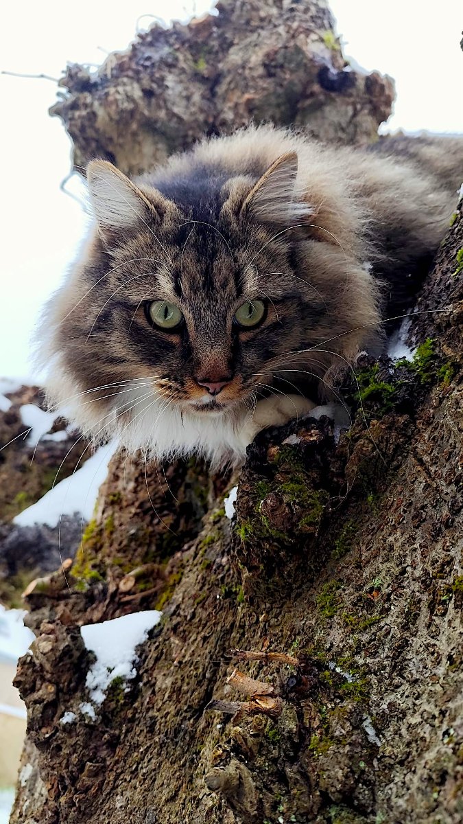 2WhatsApp Image 2026-01-08 at 14.32.29.jpeg