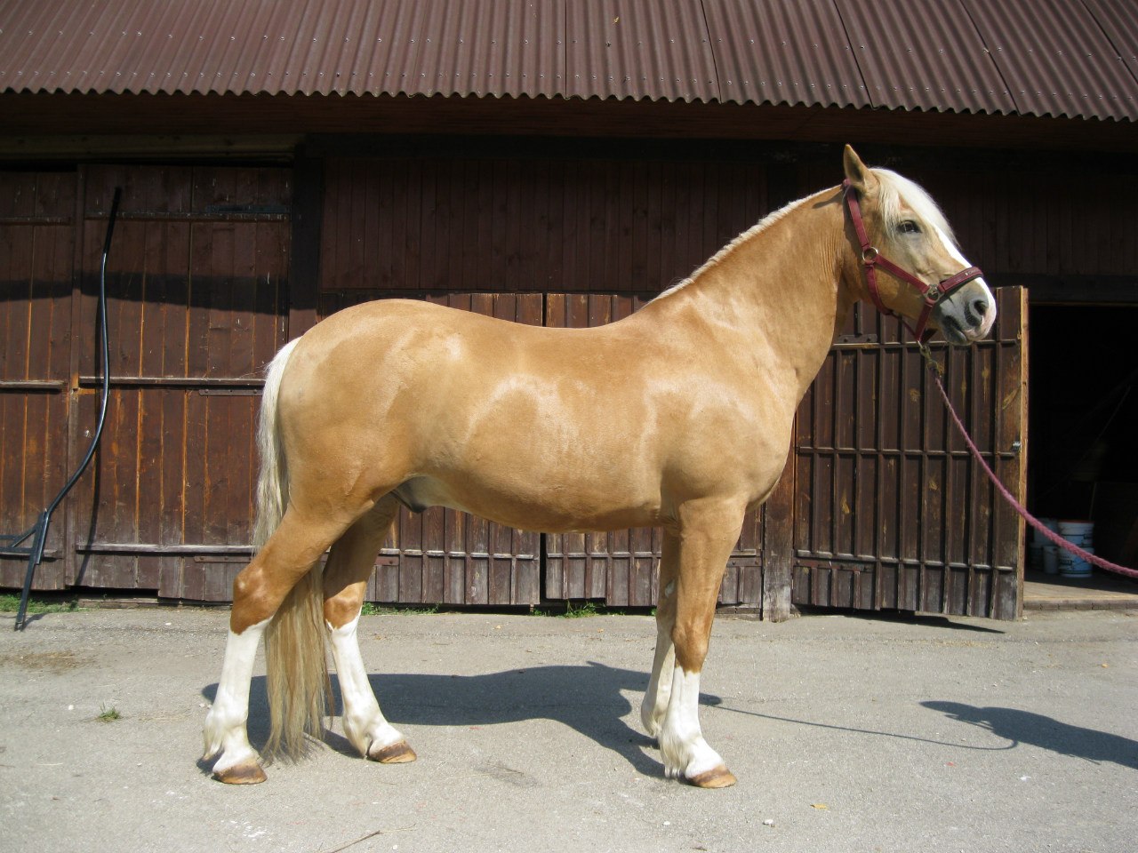 34siUQ-J1kw.jpg