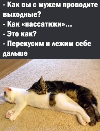 3753250_760x500.jpg
