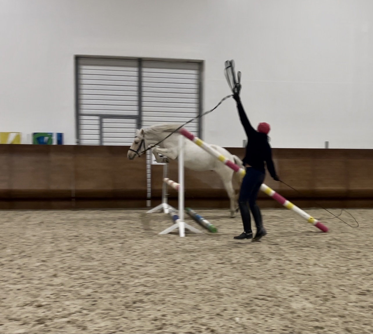 390B00C7-909D-4644-A94E-990E73AB100C.jpeg