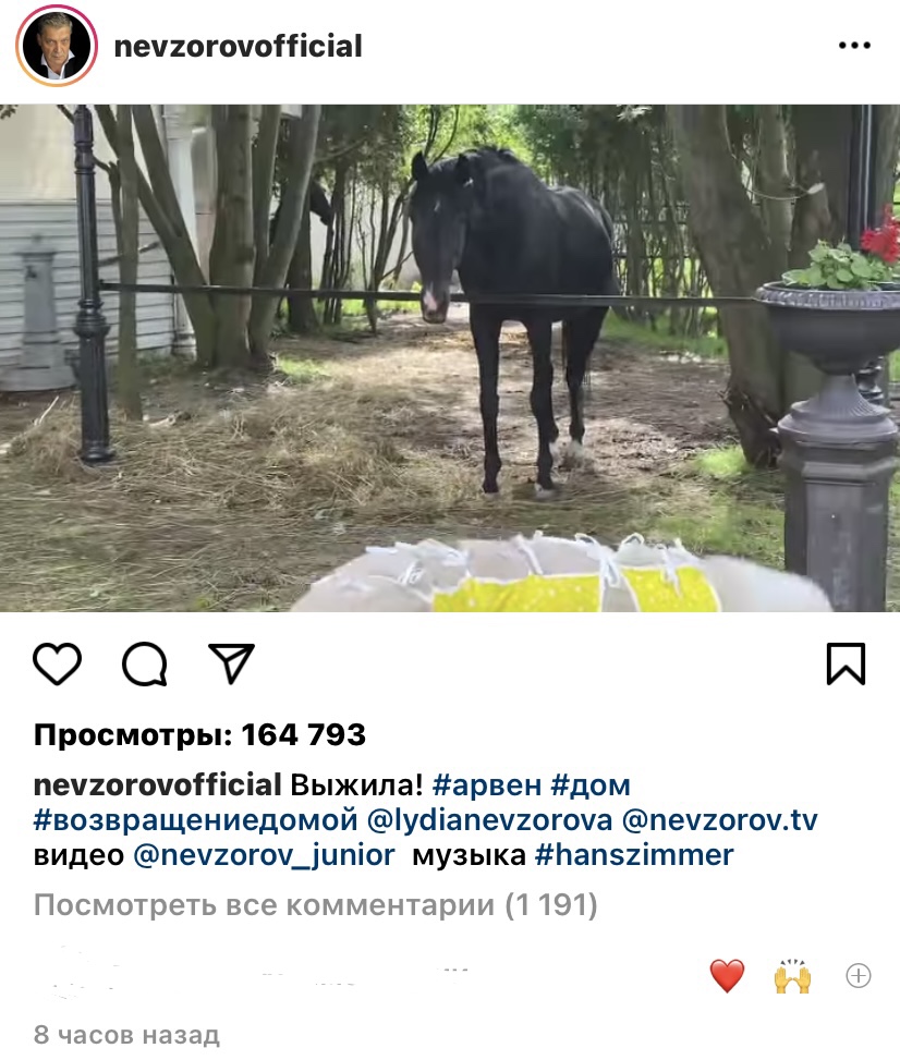 39C4F43A-C085-4A76-AB54-0E5CDCB5CD2E.jpeg