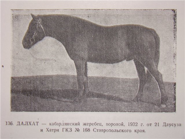 3fdbd6486645.jpg