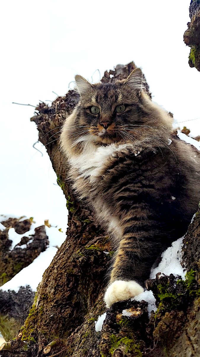 3WhatsApp Image 2026-01-08 at 14.32.29.jpeg