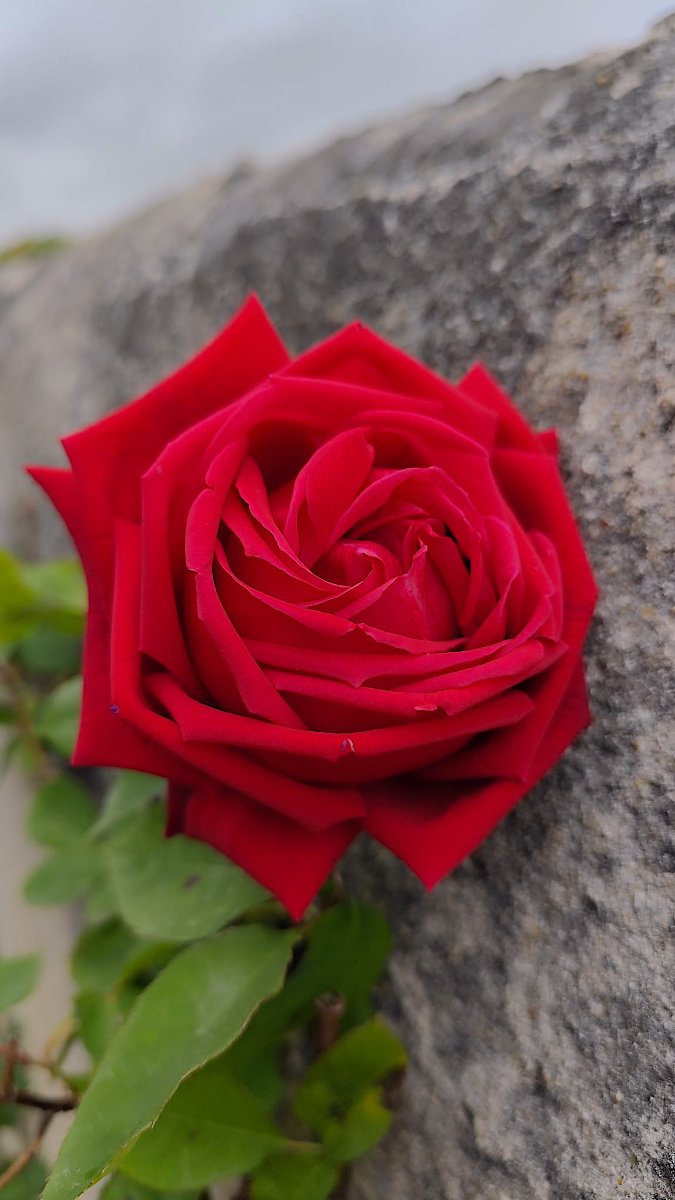 3WhatsApp Image 2026-04-15 at 21.34.05.jpeg