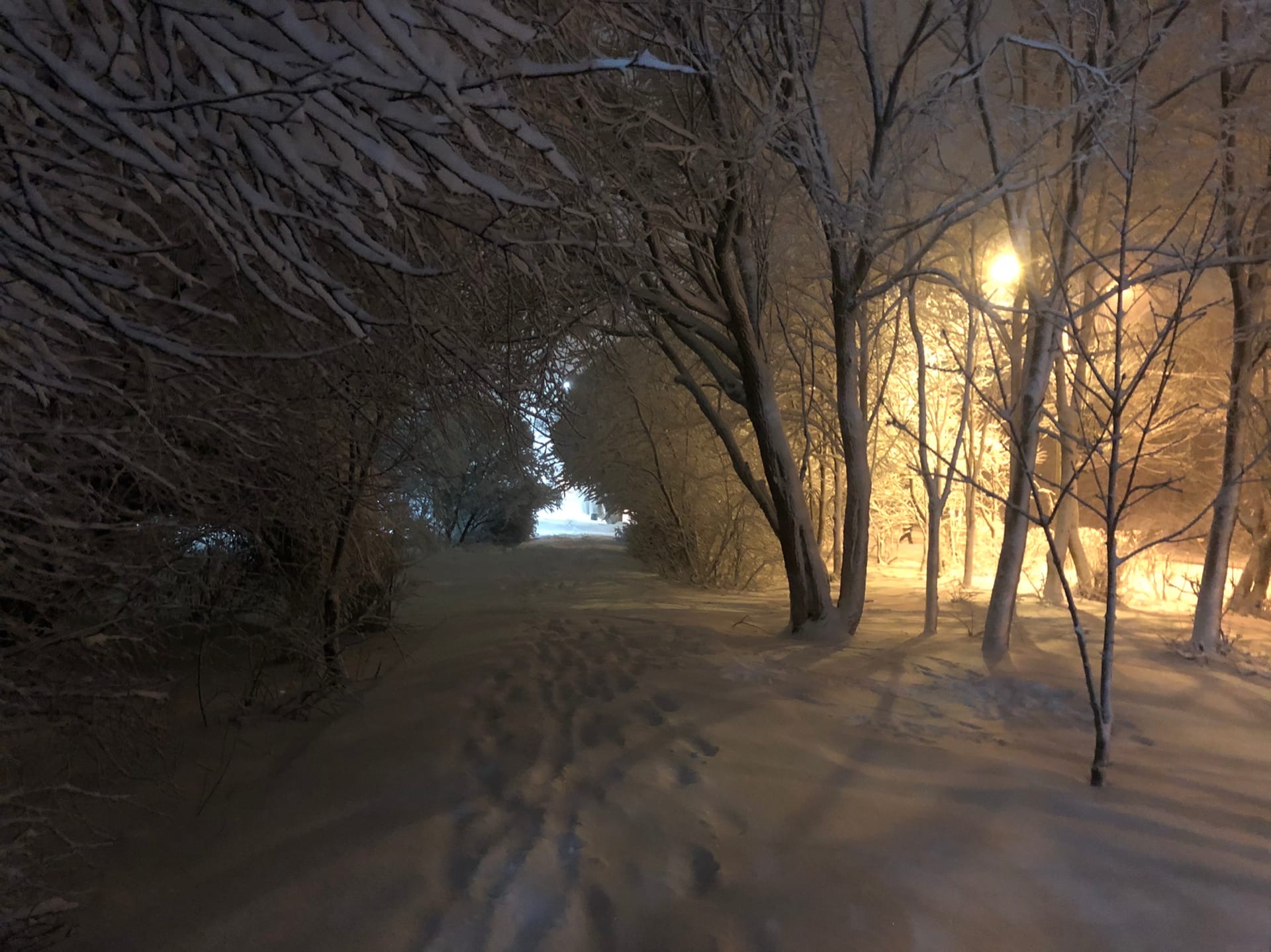 4194F0D3-B35F-424C-8D02-EA41B9CE868F.jpeg