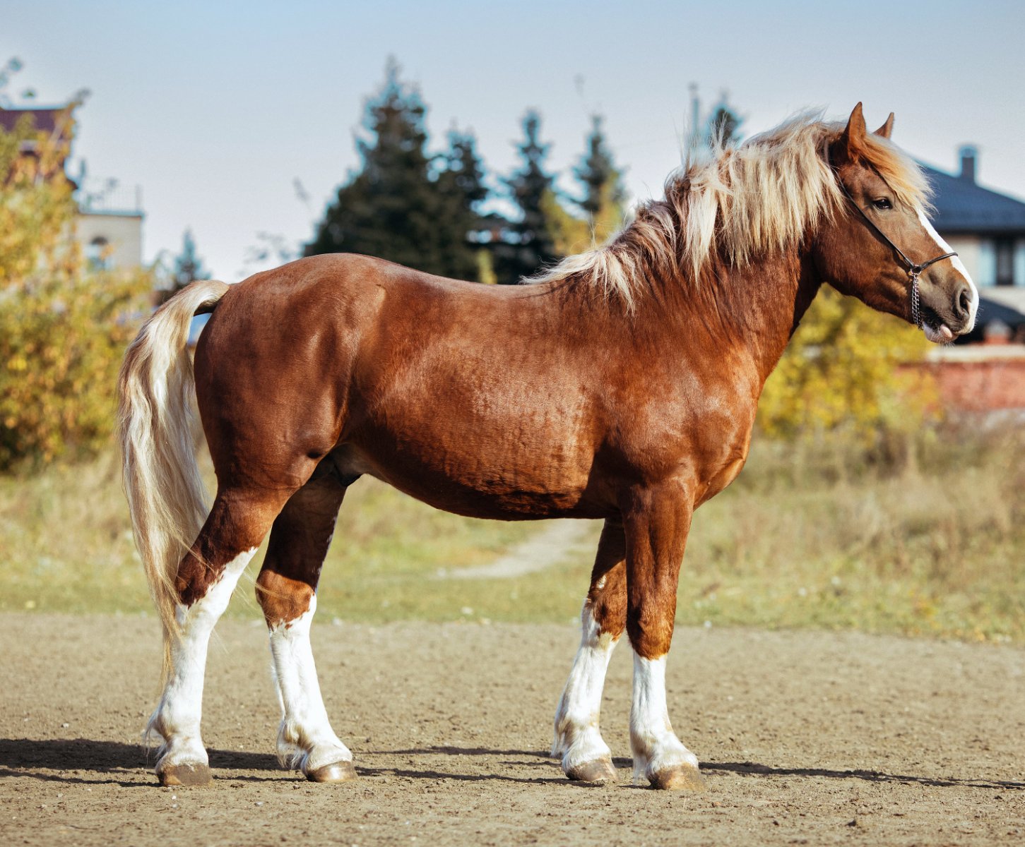 432A5049 — копия.jpg