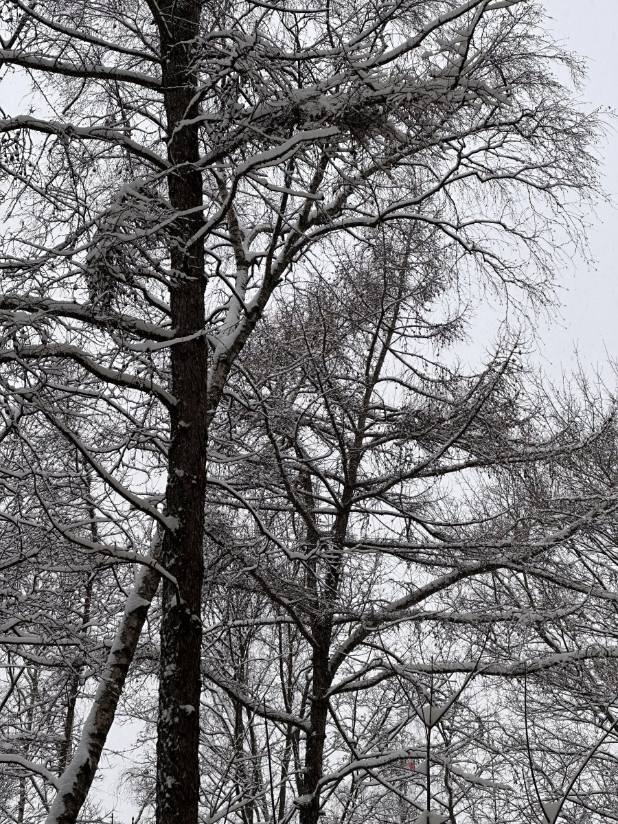 4A0B6E10-BC0C-42FD-9D74-D343B8B5B812.jpeg