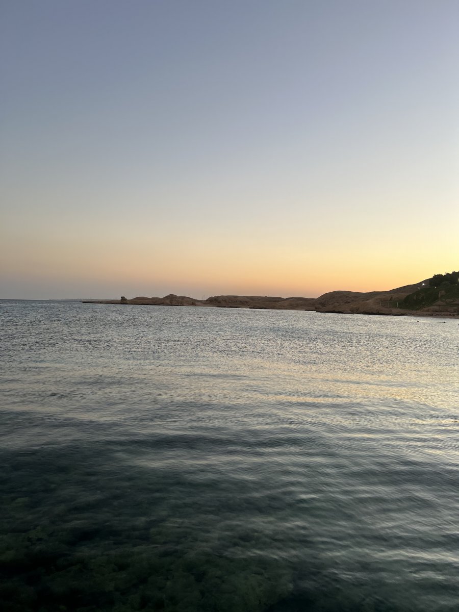 4AD9E7B7-7308-46D0-9E5E-1A9156B687E4.jpeg