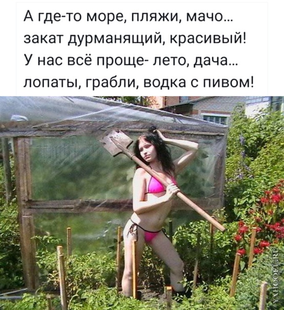 4eOeU7XnuuI.jpg
