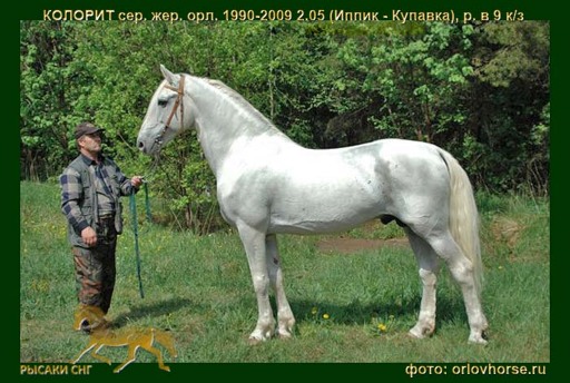 4qazy7-71.jpg