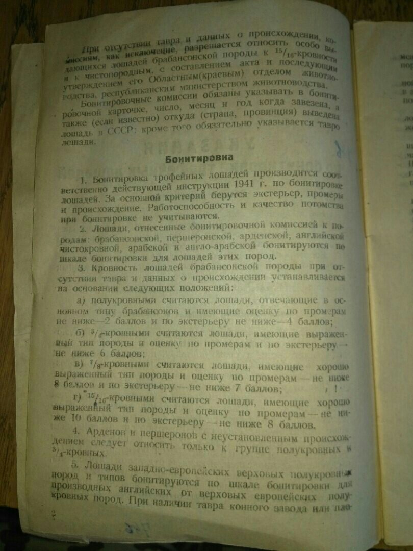 4wg_6i-vDl4.jpg