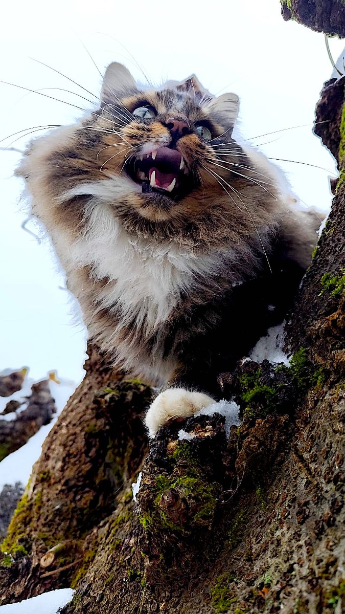 4WhatsApp Image 2026-01-08 at 14.32.29.jpeg