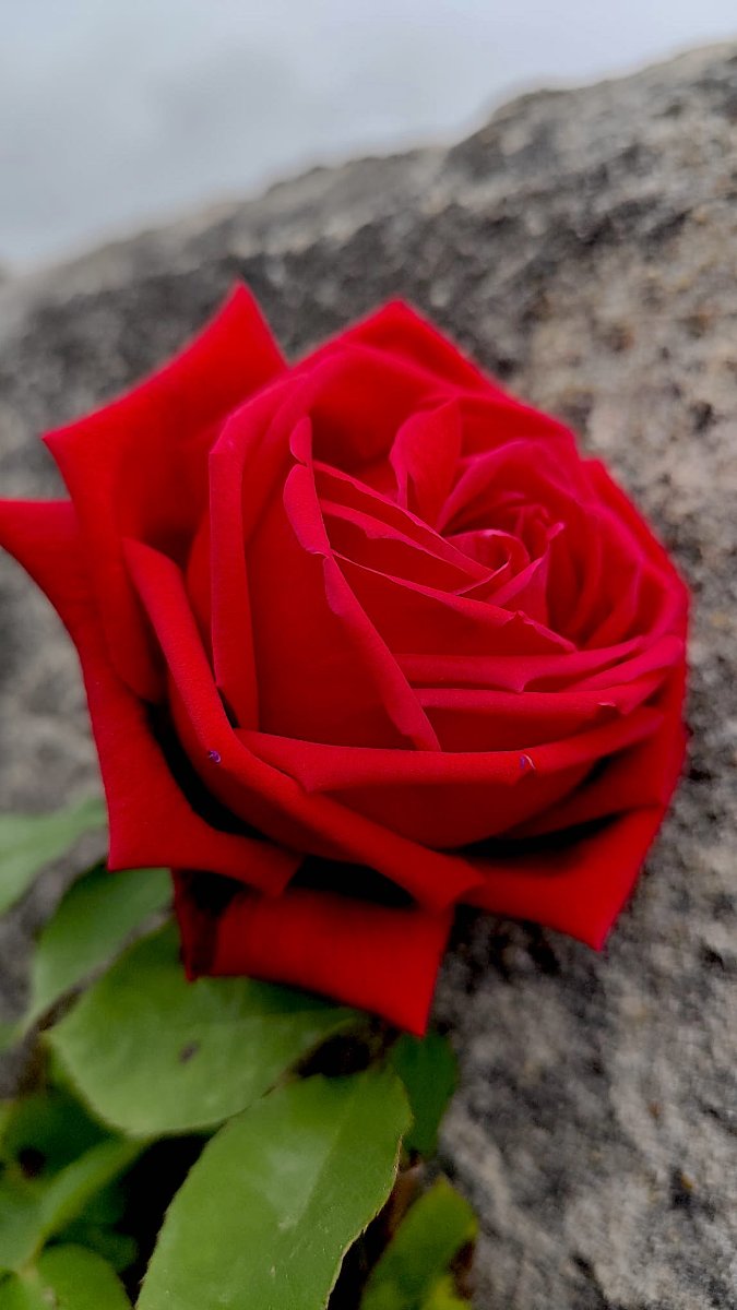 4WhatsApp Image 2026-04-15 at 21.34.05.jpeg