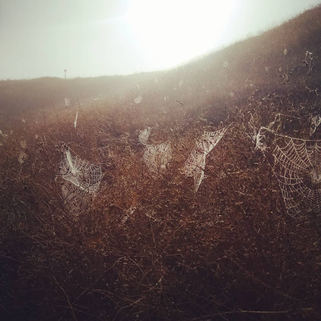 4xhv00mtsws-jpg.390945