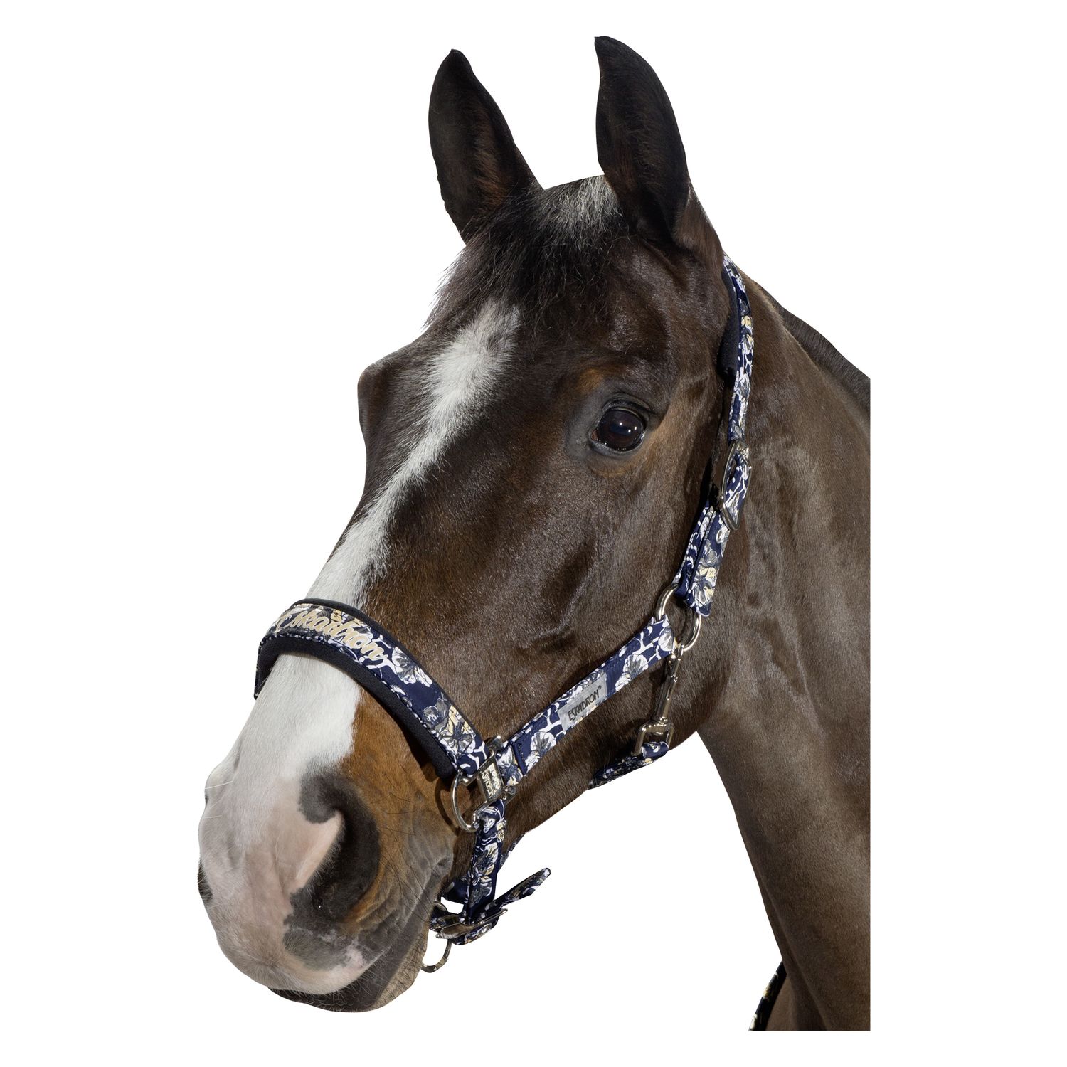 51785-eskadron-classic-sports-halfter-dornschnalle-glossy-deepblue (1).jpg