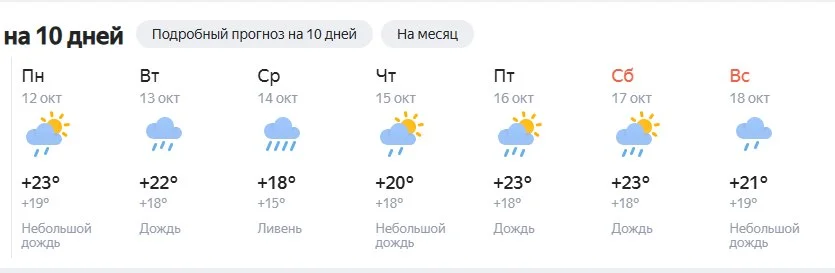 5350290990729732280.webp
