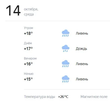 5350290990729732282.webp