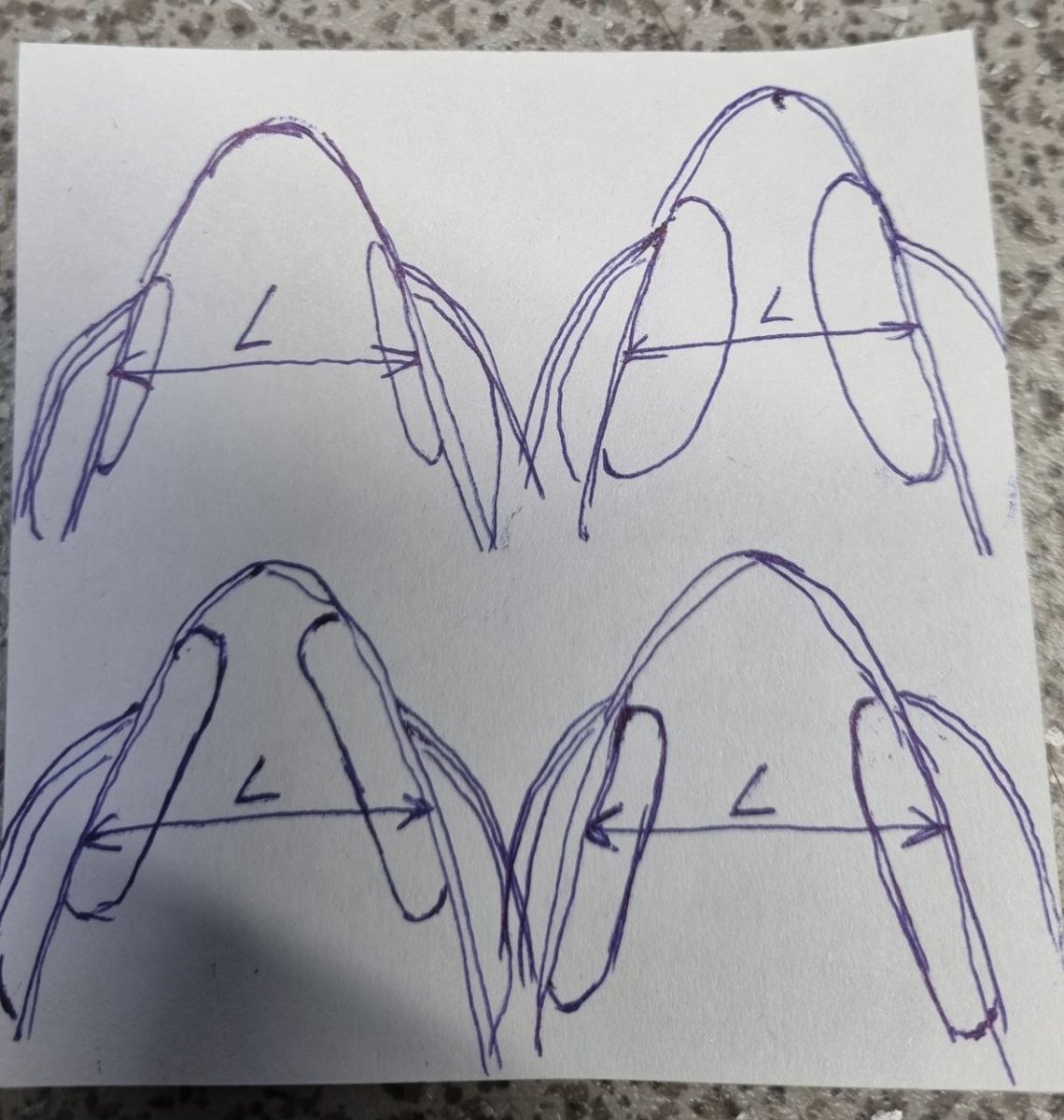 5395401676480968777.jpg