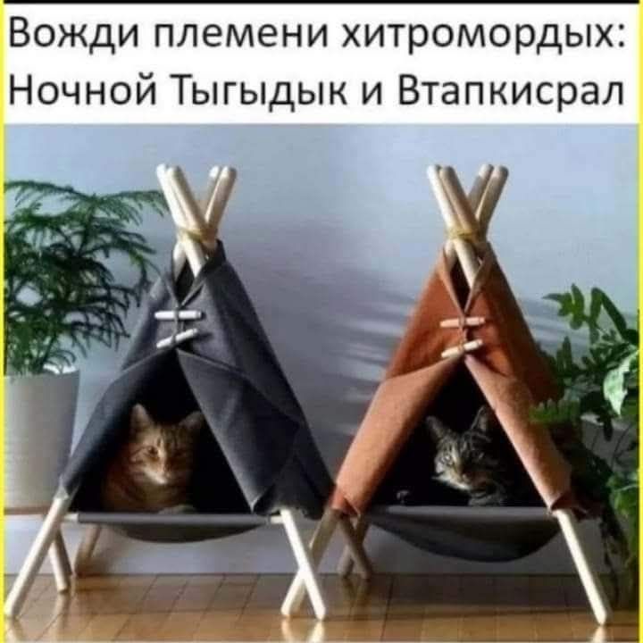 545815408_2527483374299094_5581754035073129595_n.jpg