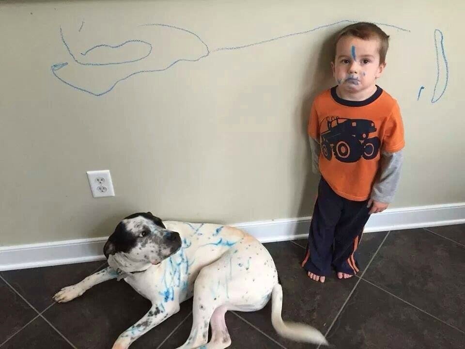 5570106032972_o.jpeg