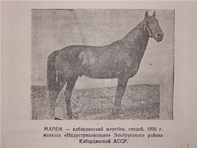 558052232499.jpg