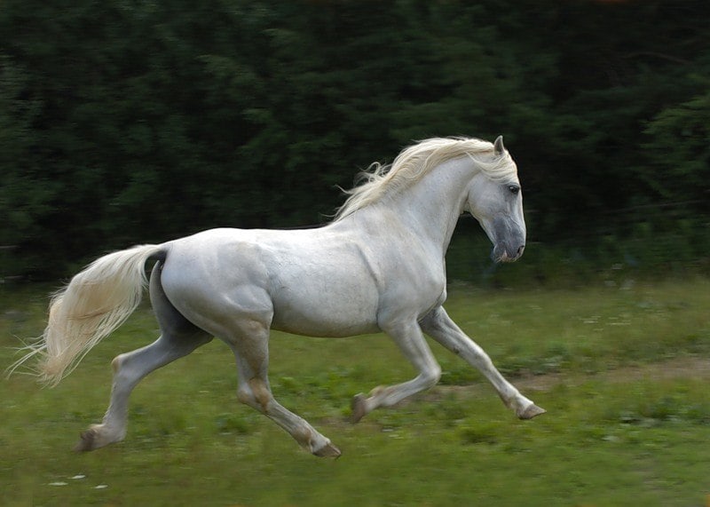 559.jpg