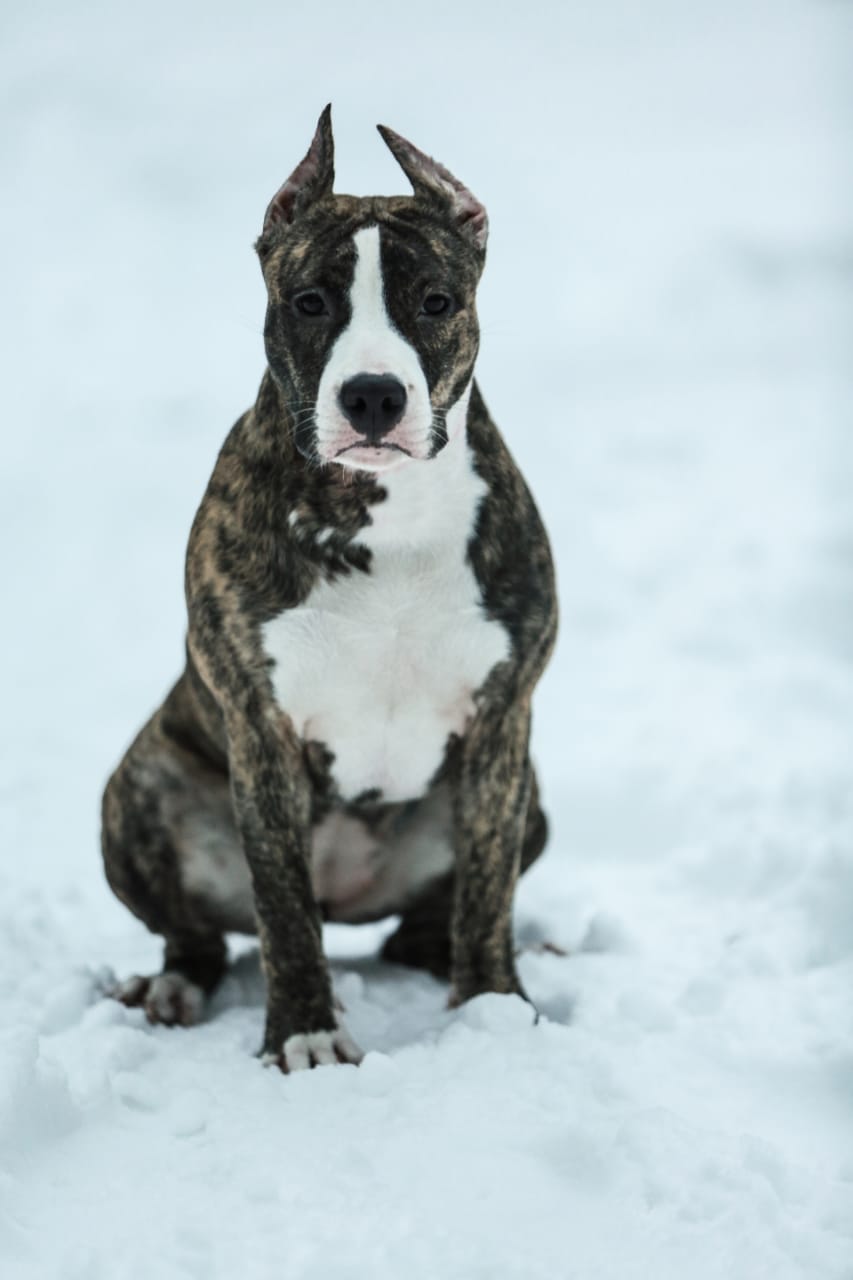 582A6732-4F36-42E4-95E2-4F42CFAD2562.jpeg