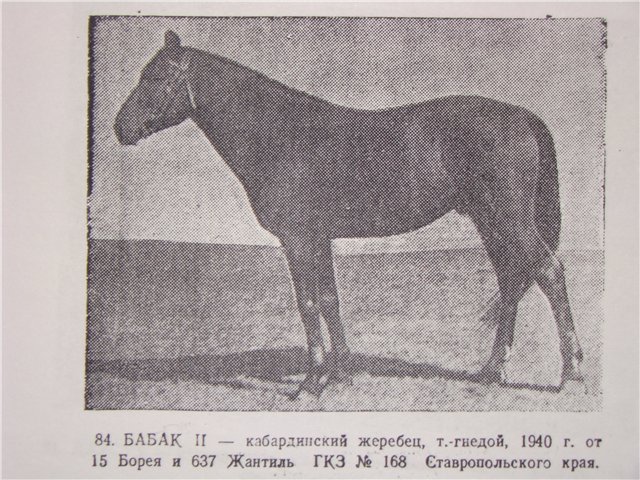 58b4eddf137a.jpg
