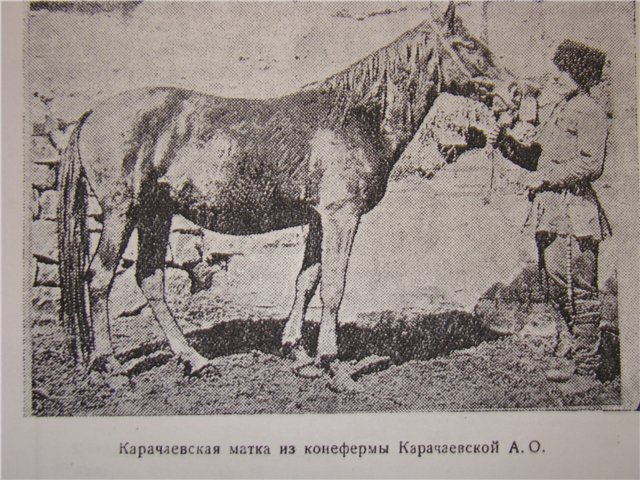 5a9bb28285b0.jpg