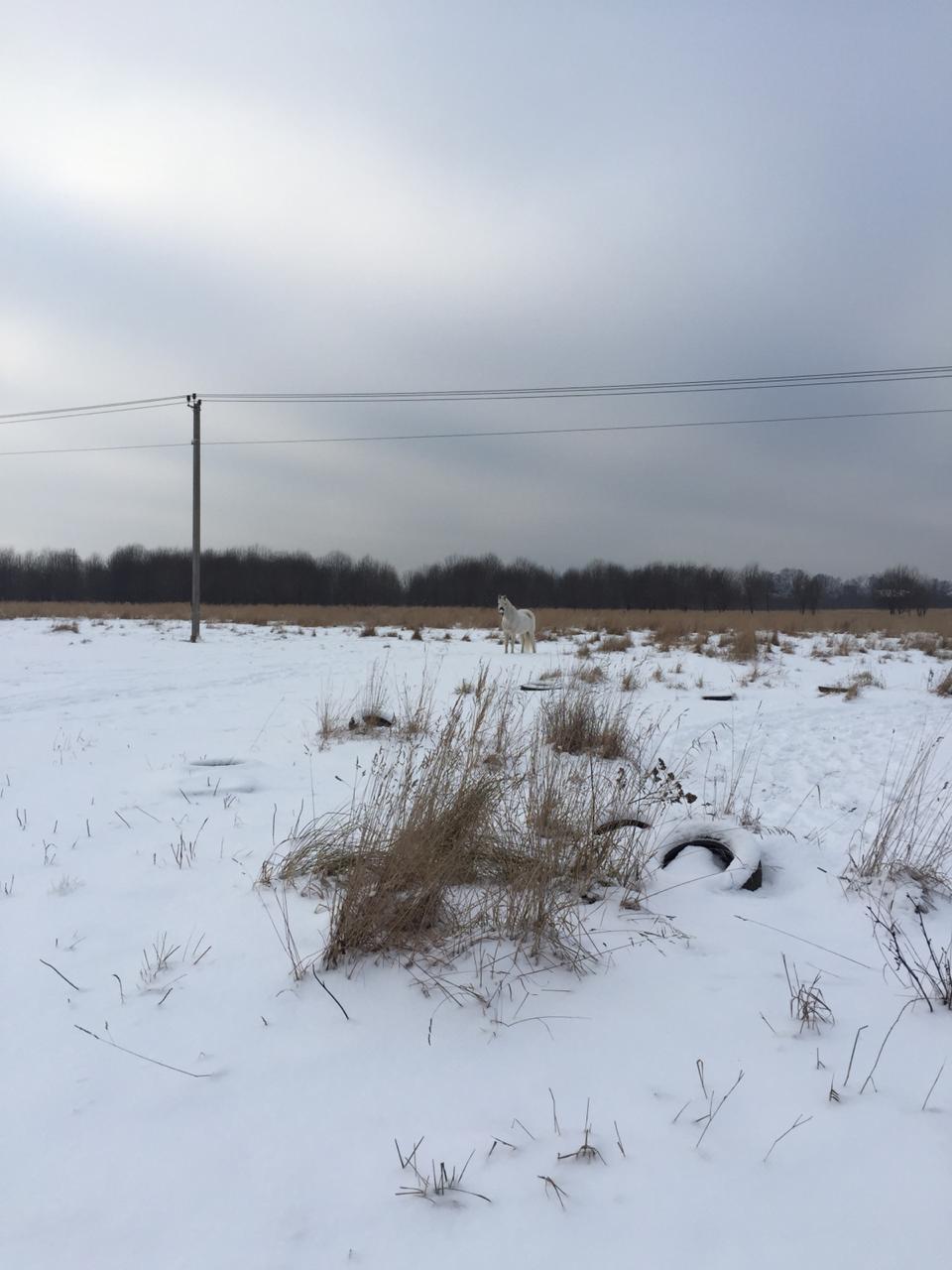 5B3ABD66-89CB-41DE-88BF-8E3B8F2C461E.jpeg