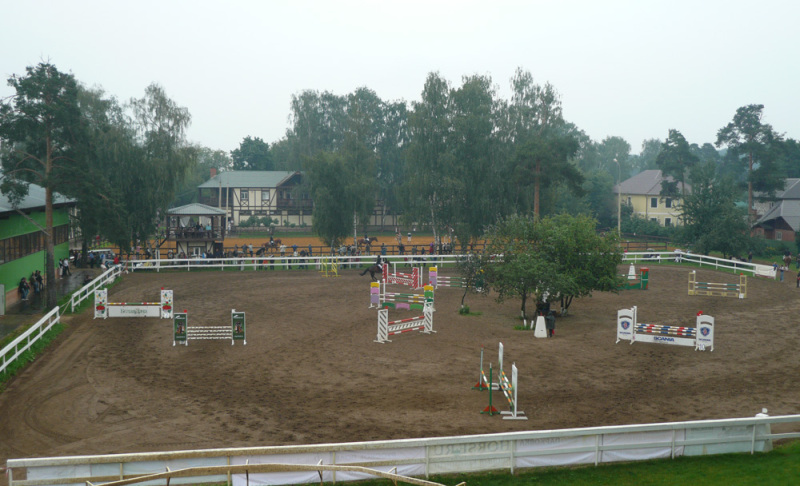 5c394631.jpg