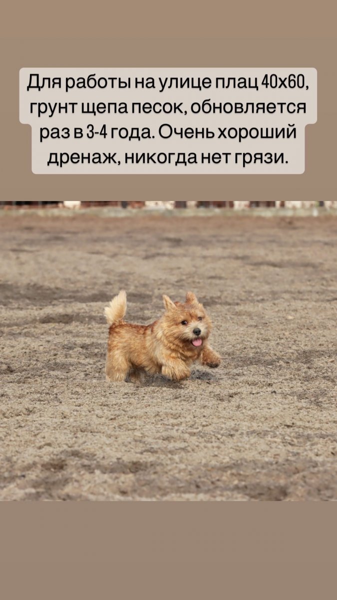 5D3851CE-8D44-4F3C-8DB9-57FB89B568C3.jpeg