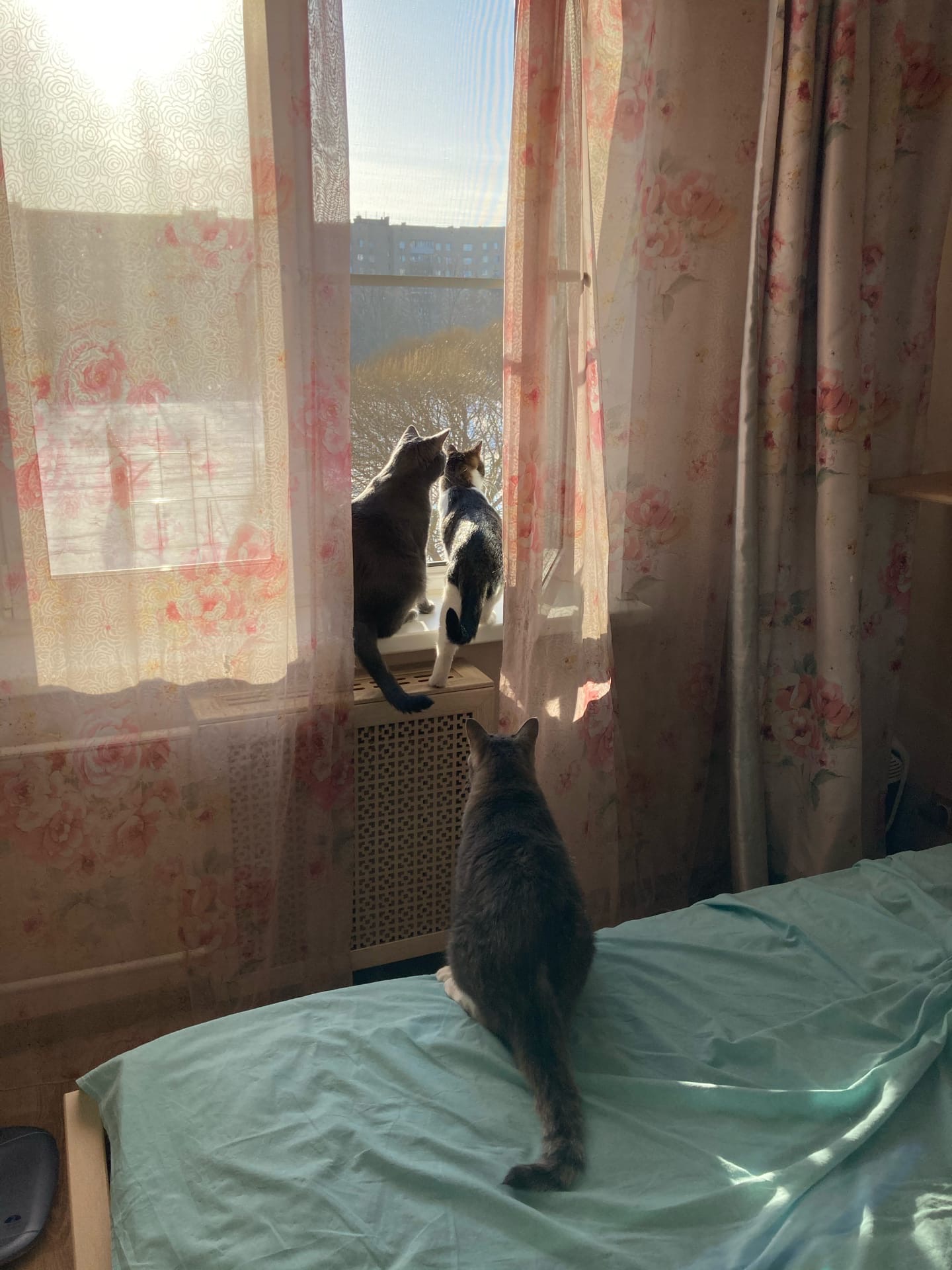 5D96F6E3-72E7-448A-B20C-19C17435A593.jpeg