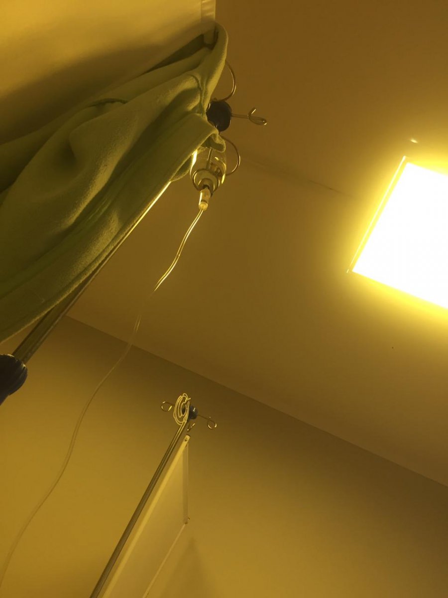 5E9F5551-55C6-4BEA-8516-53E06E082B06.jpeg