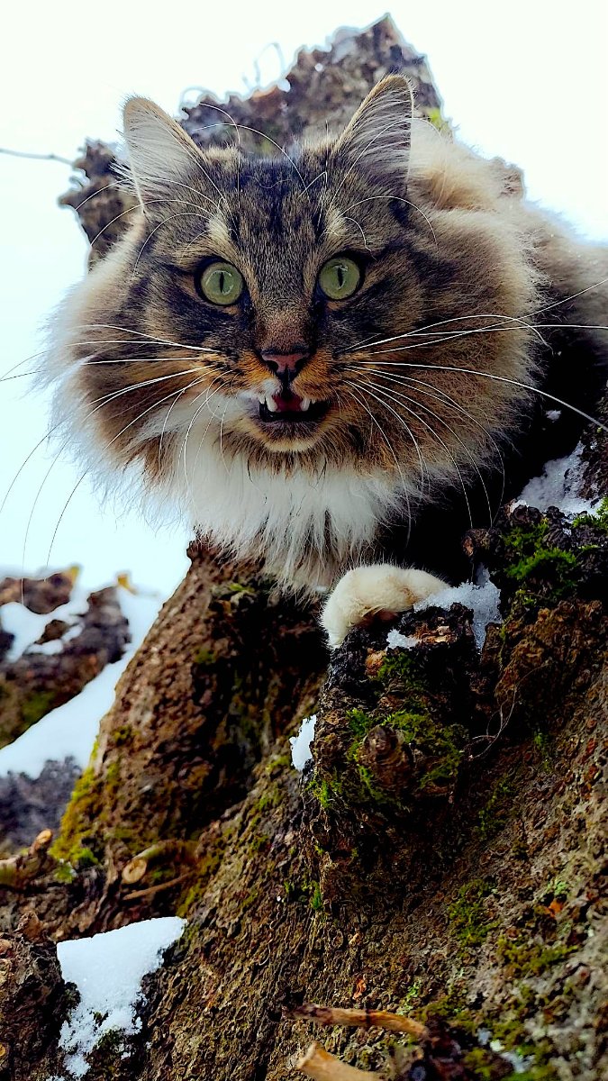 5WhatsApp Image 2026-01-08 at 14.32.29.jpeg