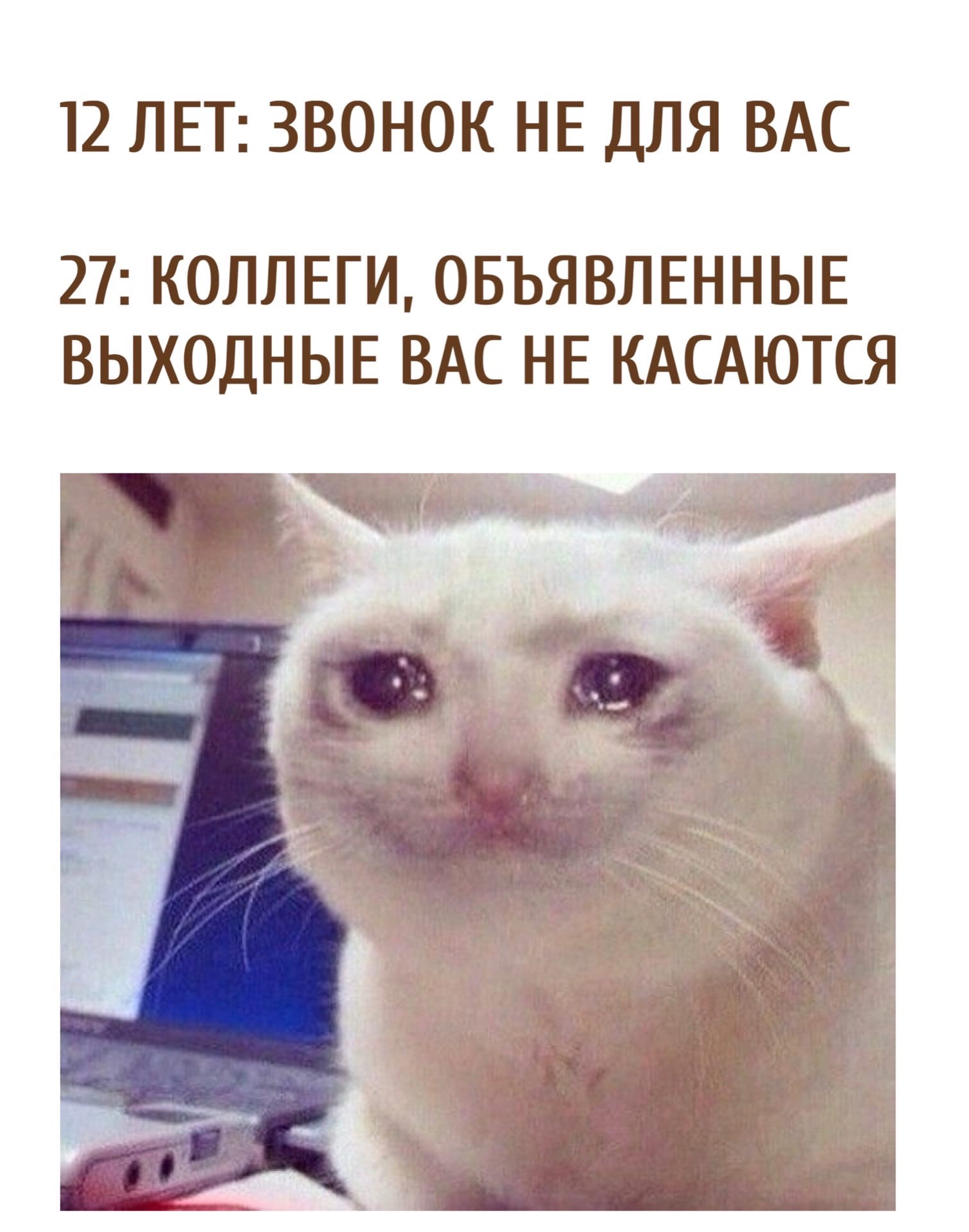5zEh6czCbbM.jpg