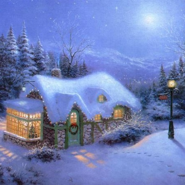 600x600.jpg