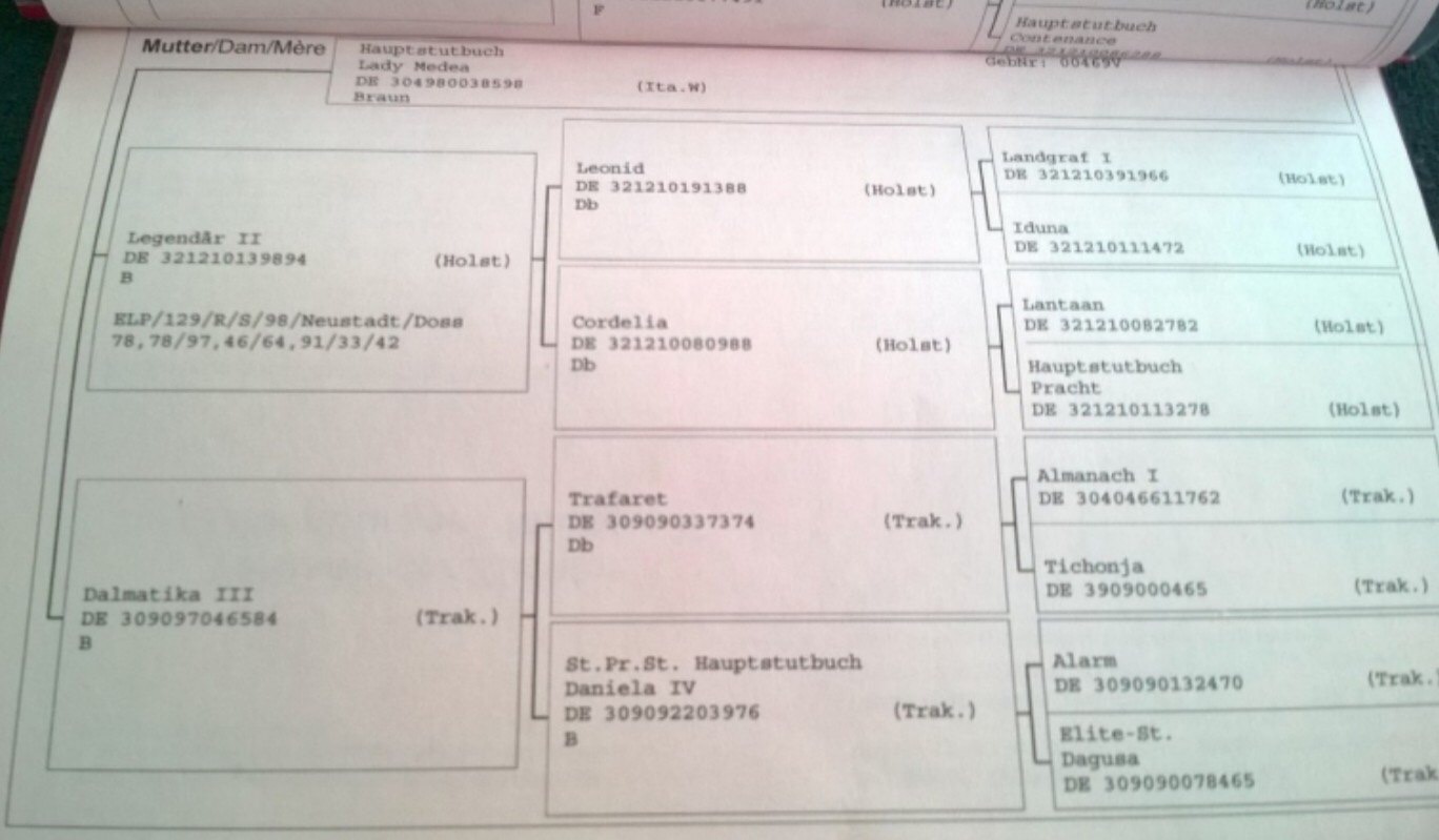 60A1DE08-C278-47EB-BB1D-DEE3A5C3863B.jpeg
