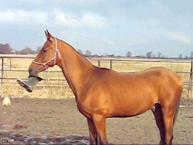 66776766df12.jpg