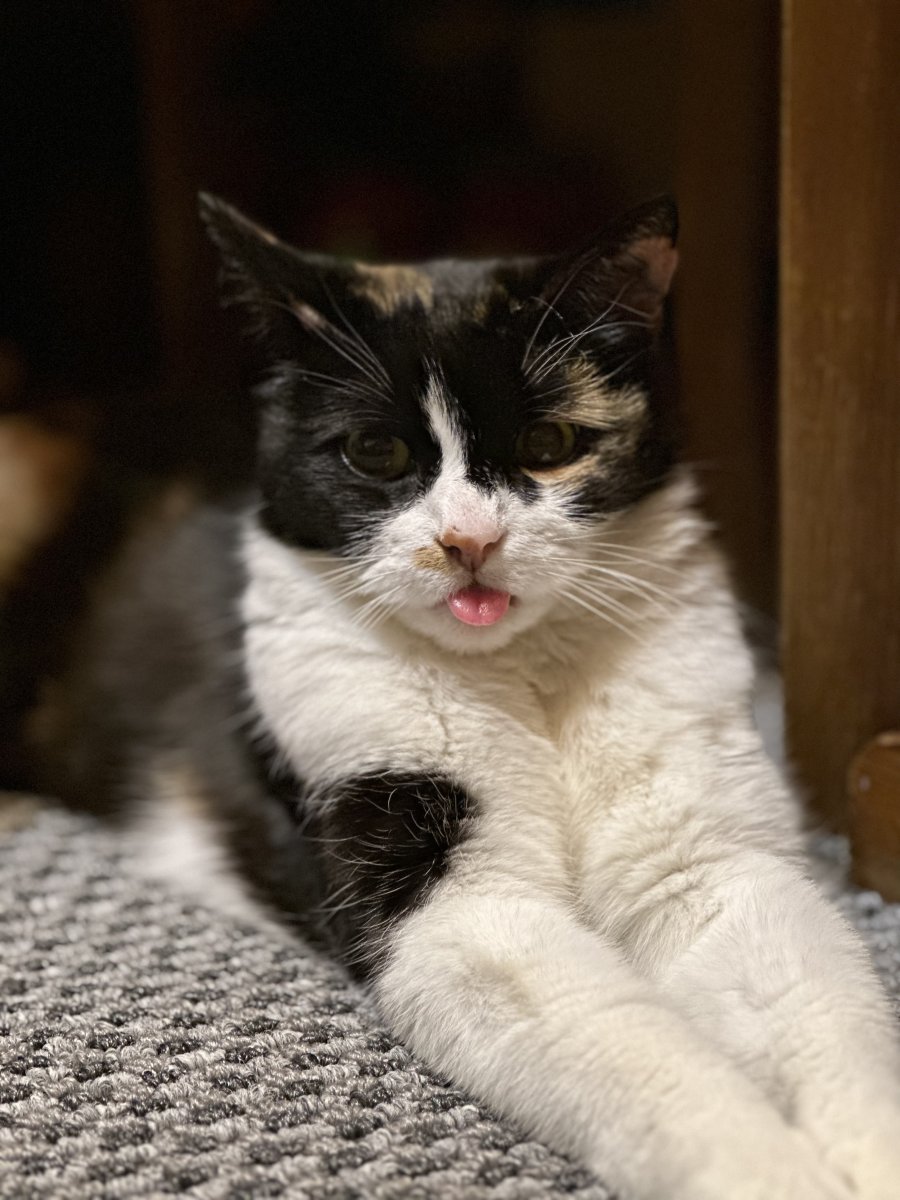 6778A98E-027D-43B5-8AC7-A91180325BF7.jpeg