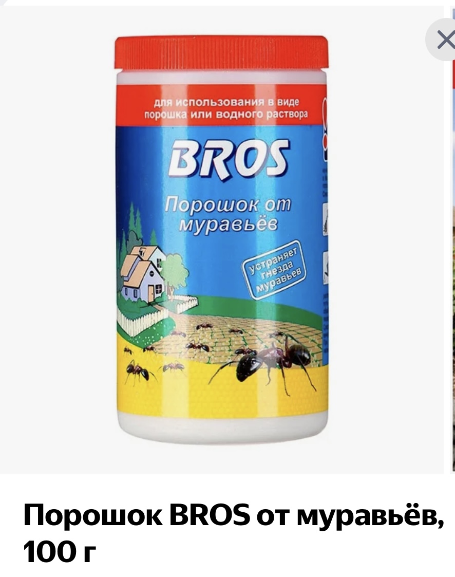 67A49BAF-E72E-4D55-A733-188D30909E40.jpeg
