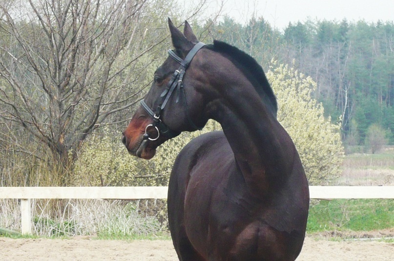 6848557 - копия.jpg