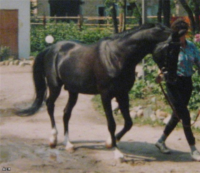 69e164dbb287.jpg