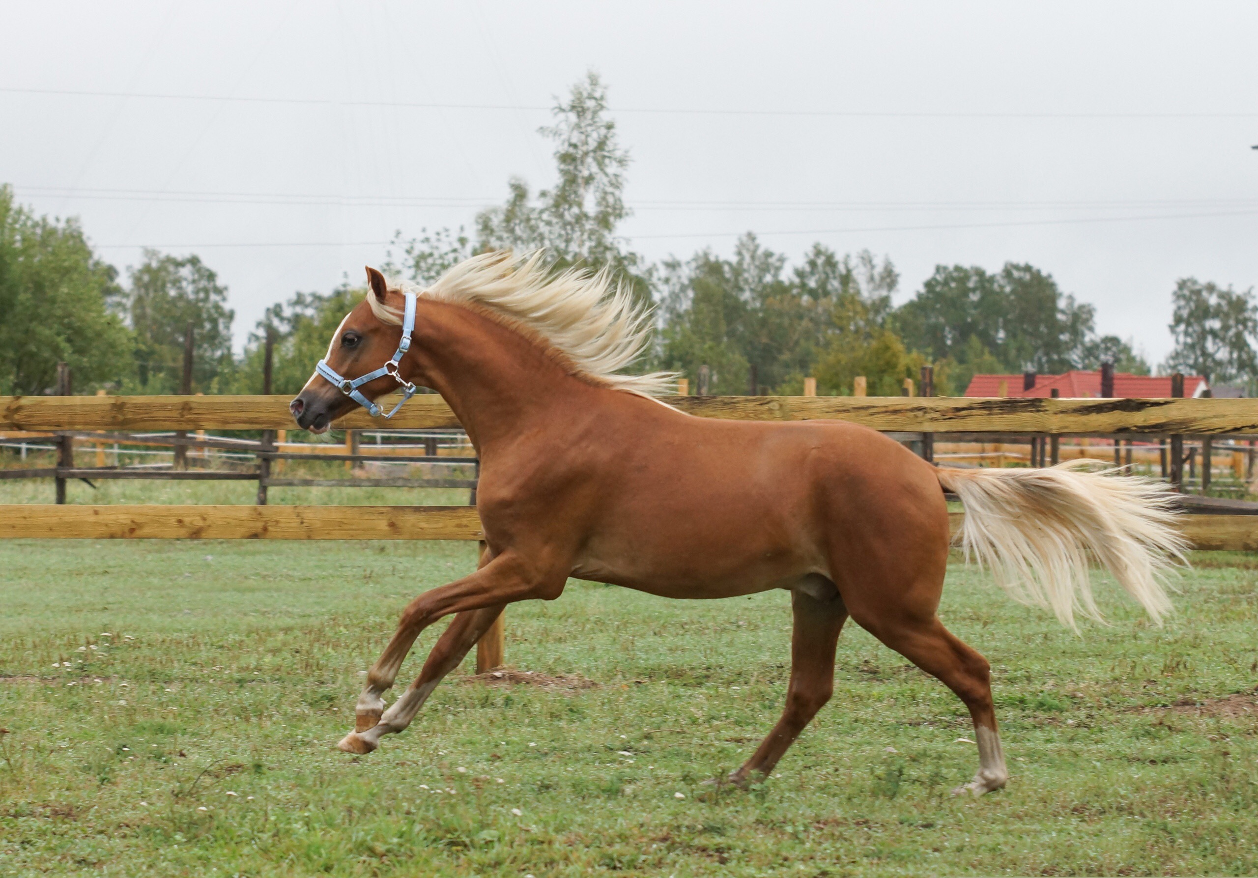 6A6819DC-80B4-46E0-A8FE-ED86E316C7F3.jpeg