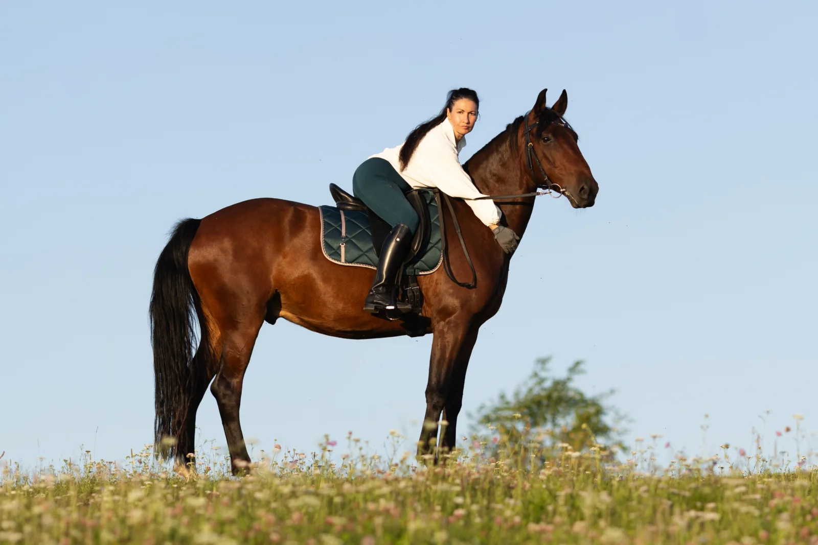 6O0A6223-1_edit_383608296992205.webp