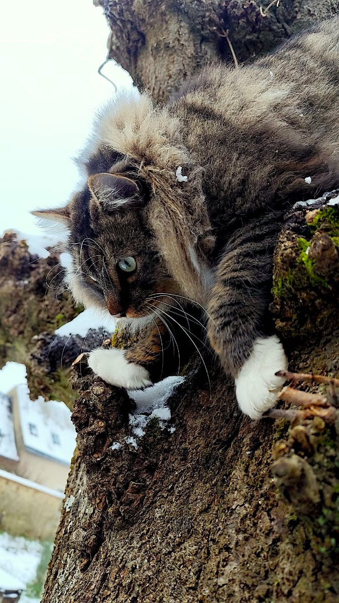 6WhatsApp Image 2026-01-07 at 13.03.34.jpeg