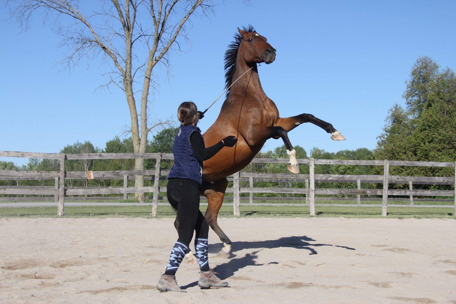 71B624F0-AB12-4246-A7DF-1E245C537D56.jpeg