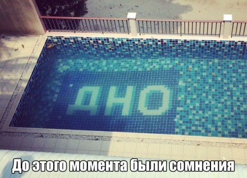 7206337.jpeg