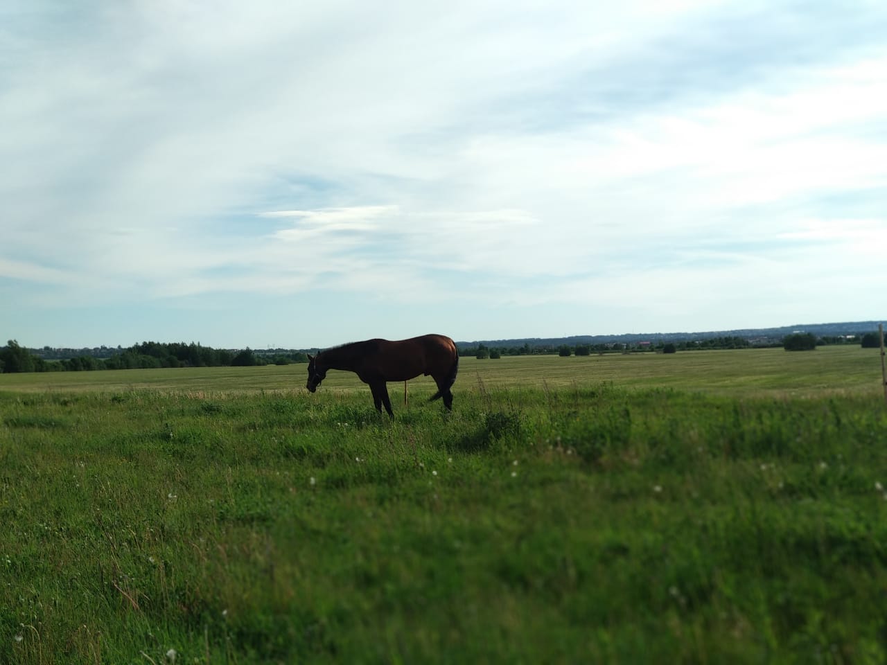 7225B5C7-49BA-4FCB-915E-10986A9BE08E.jpeg
