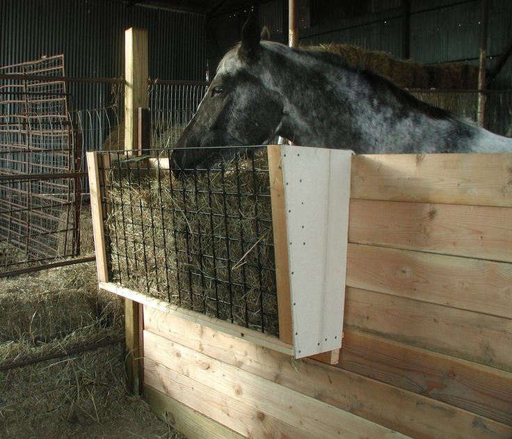 7564ad248536f58cd5bcb6615ce71d5c--horse-feed-the-horse.jpg